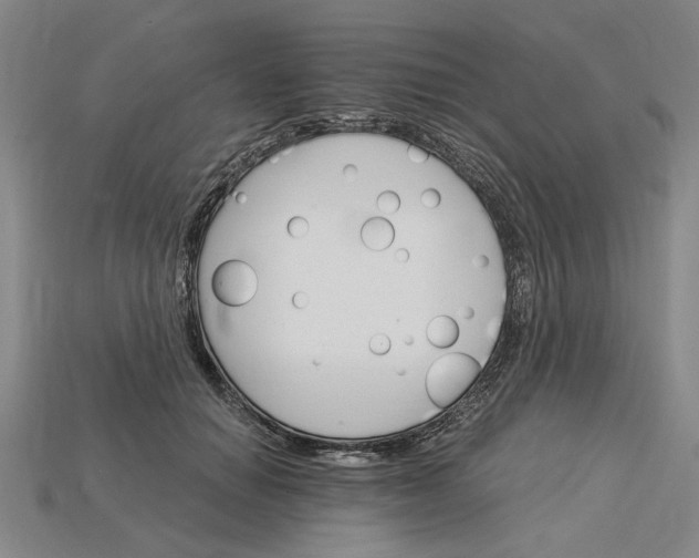 X0000115270654200911131808