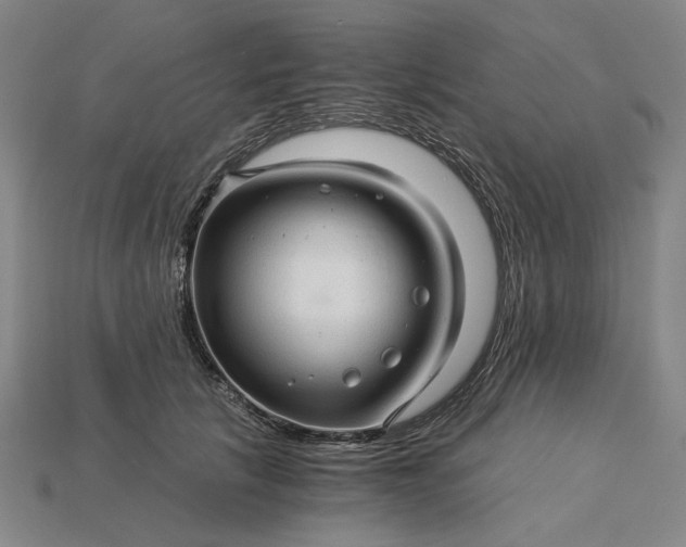 X0000115270657200911131809