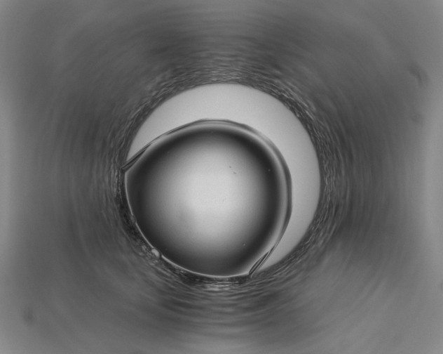 X0000115270659200911131809
