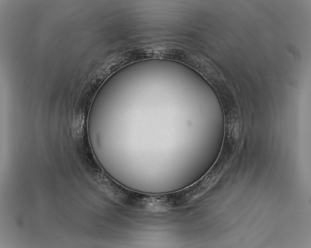 X0000115270660200911131809