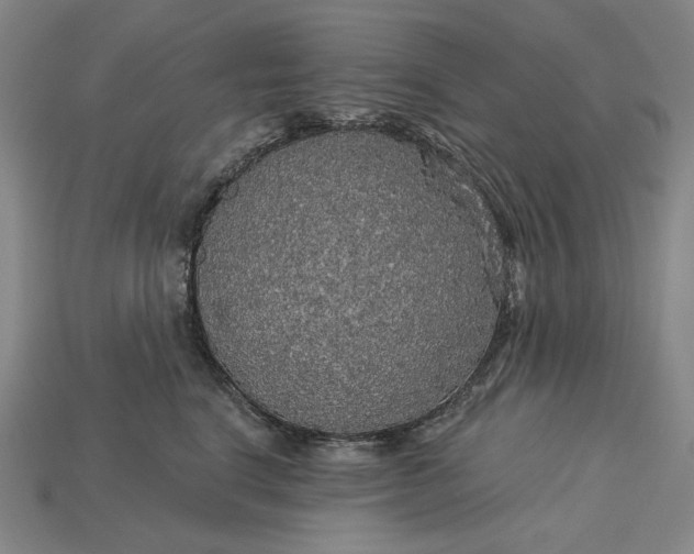 X0000115270664200911131809