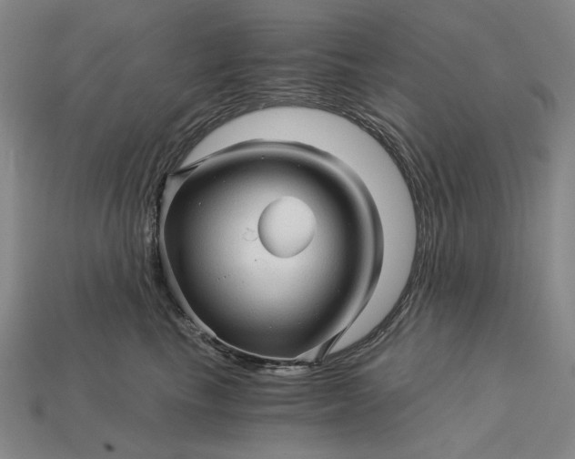 X0000115270665200911131809