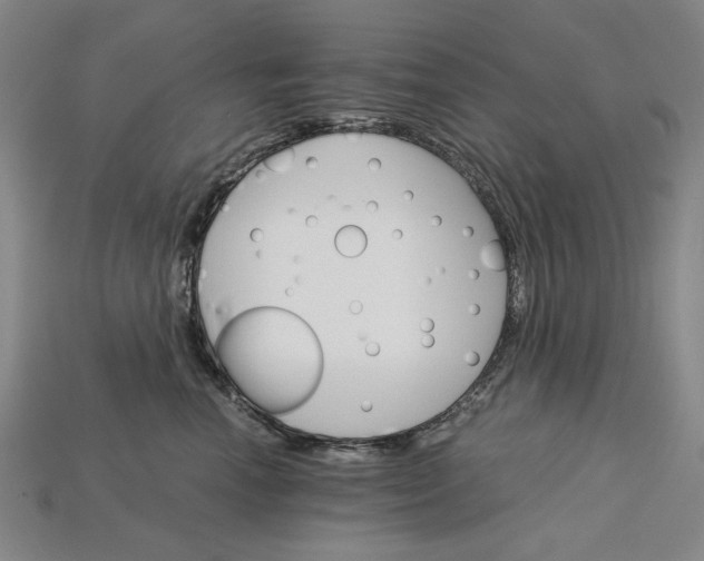 X0000115270666200911131809