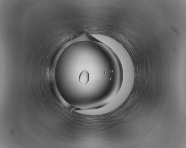 X0000115270669200911131809