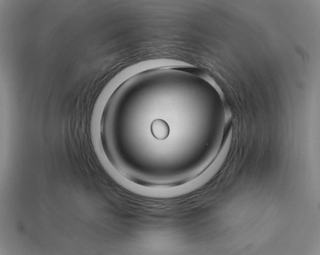 X0000115270671200911131809
