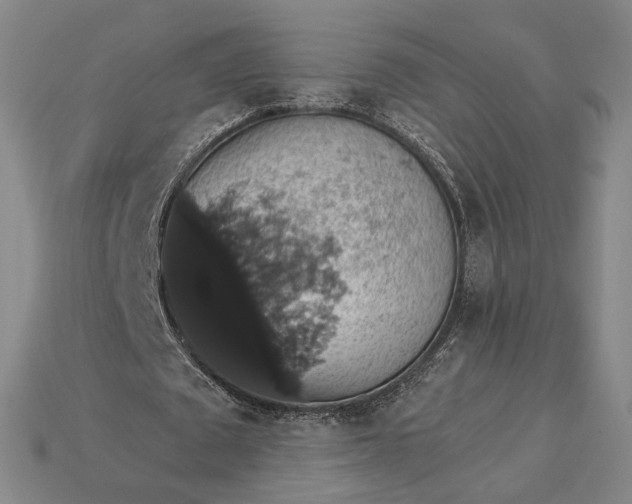 X0000115270673200911131808