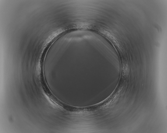 X0000115270674200911131808