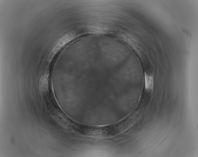X0000115270675200911131808