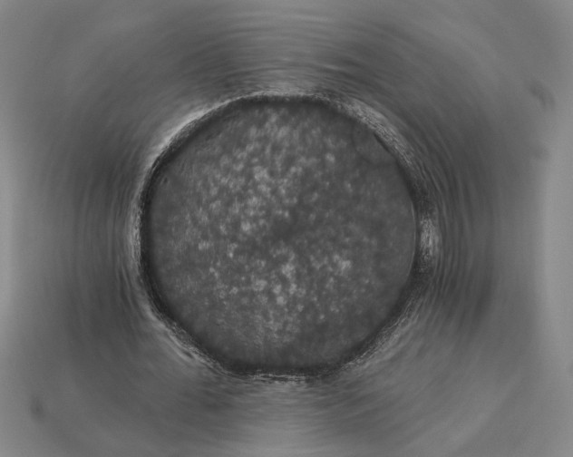 X0000115270676200911131808