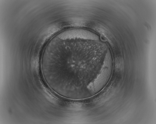 X0000115270677200911131808
