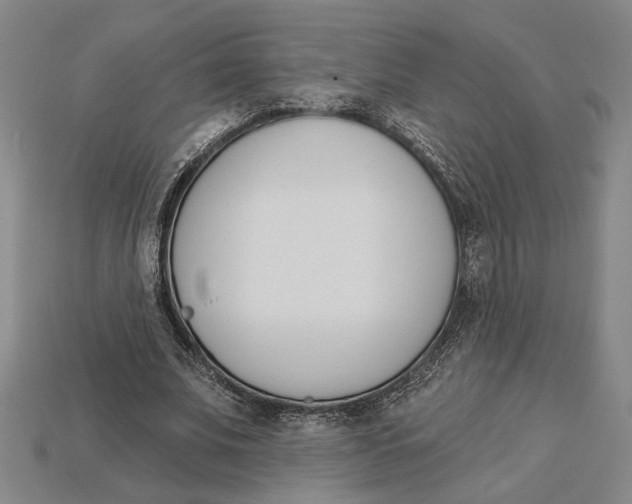 X0000115270679200911131808