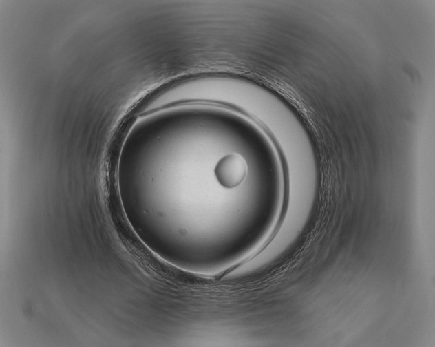 X0000115270680200911131808