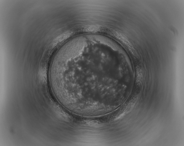X0000115270681200911131808