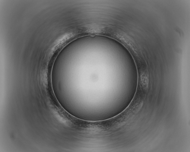 X0000115270682200911131808