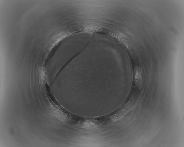 X0000115270684200911131808