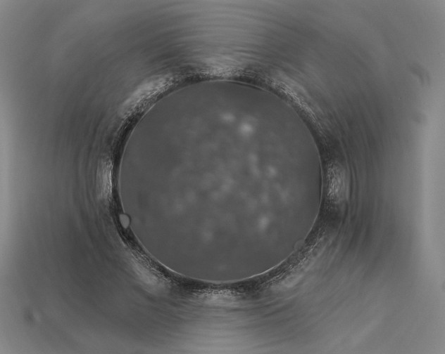 X0000115270685200911131808