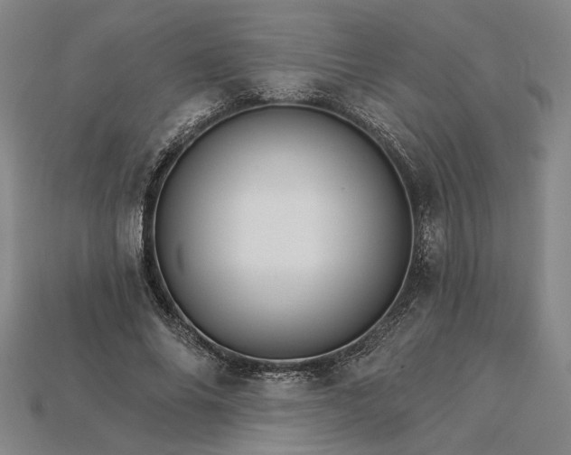 X0000115270686200911131808