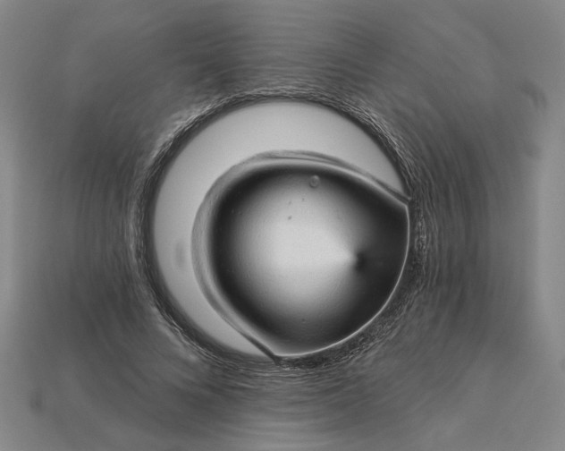 X0000115270688200911131808