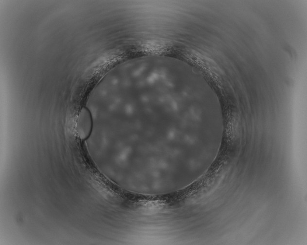 X0000115270689200911131808