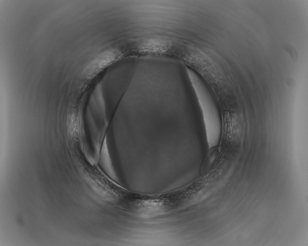 X0000115270692200911131808