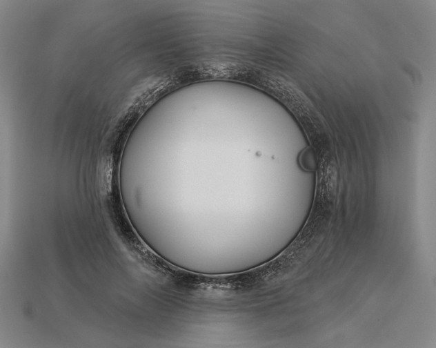 X0000115270694200911131808