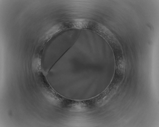 X0000115270696200911131808