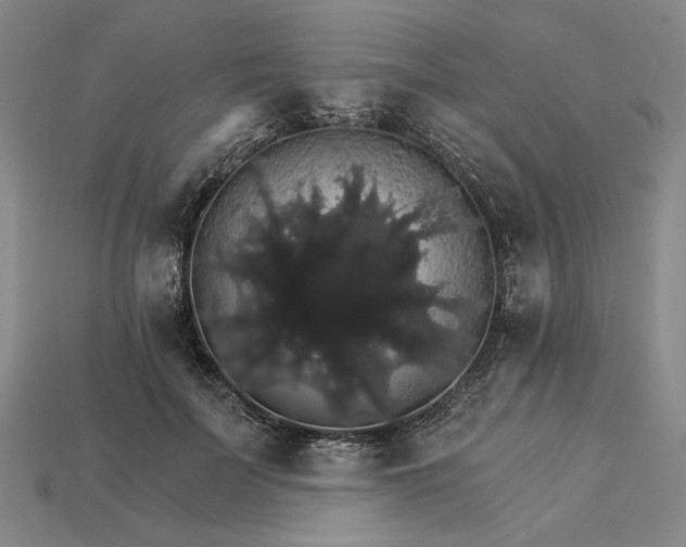 X0000115270699200911131808