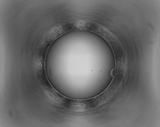 X0000115270702200911131808
