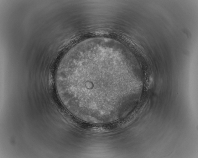 X0000115270704200911131808