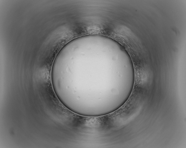 X0000115270705200911131808