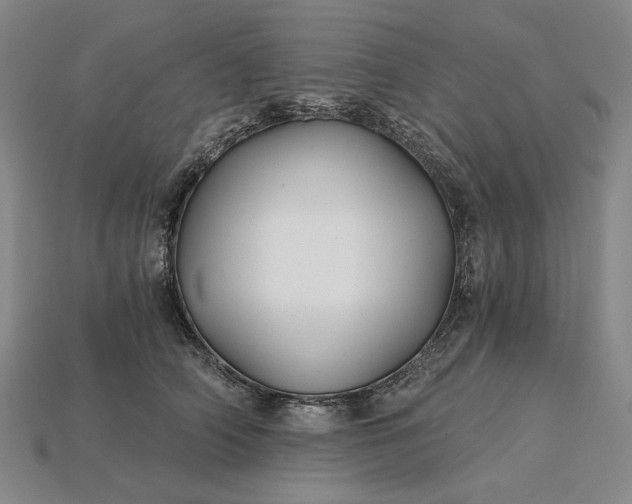 X0000115270706200911131808