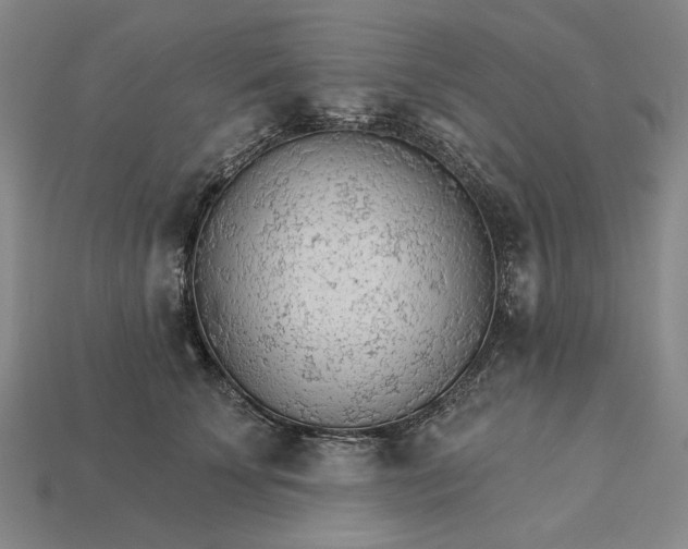 X0000115270707200911131808