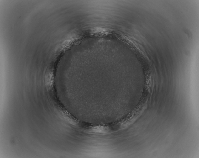 X0000115270708200911131808