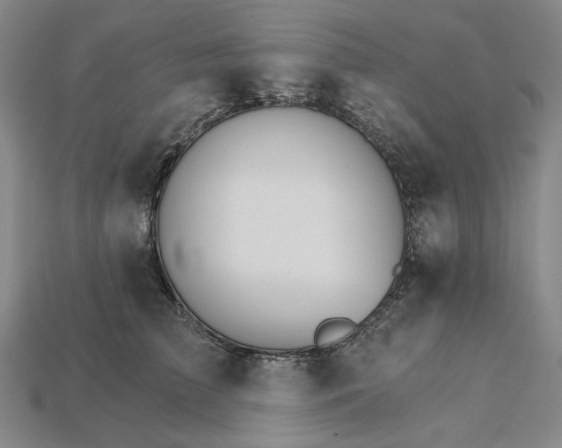 X0000115270709200911131808