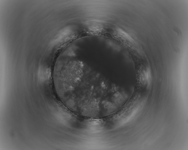 X0000115270711200911131808