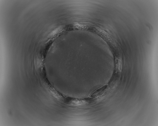 X0000115270712200911131808