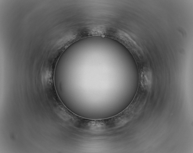 X0000115270714200911131808