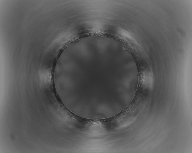 X0000115270715200911131808