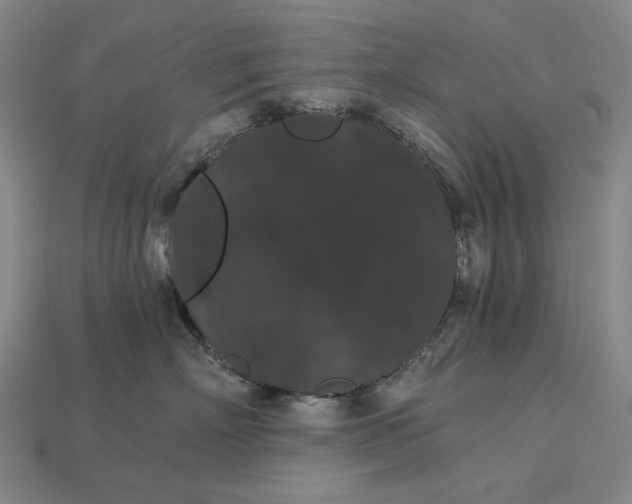 X0000115270718200911131807
