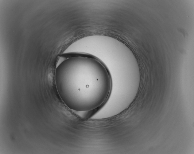 X0000115270720200911131807