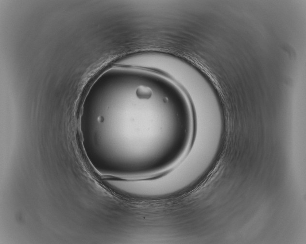 X0000115270721200911131807