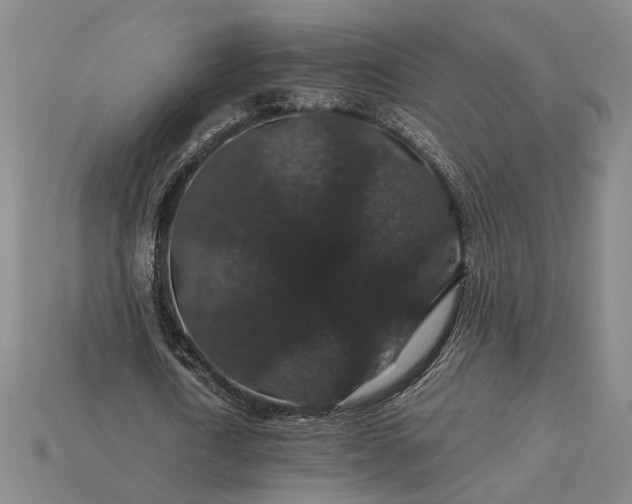 X0000115270722200911131807