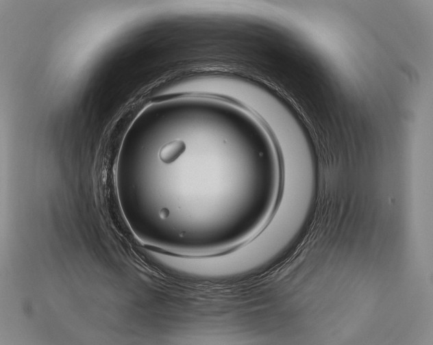 X0000115270723200911131807
