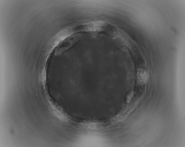 X0000115270726200911131807