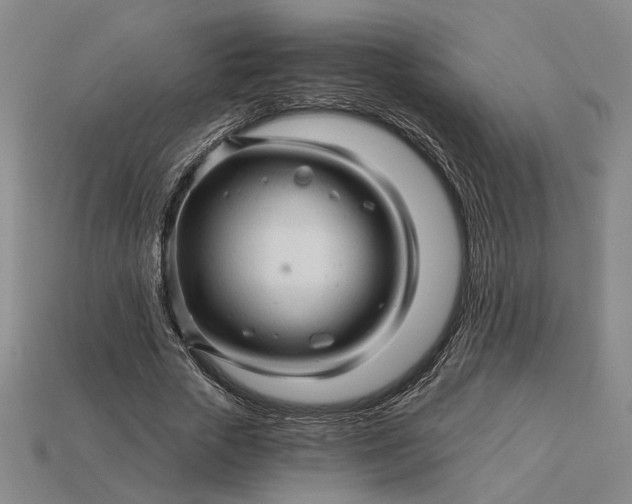 X0000115270729200911131807