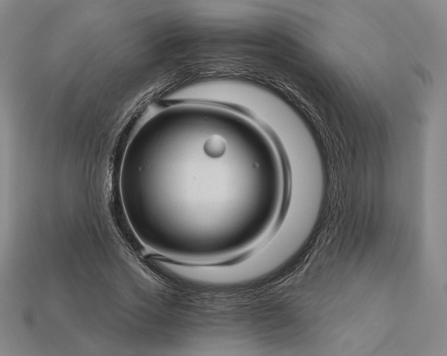 X0000115270733200911131807