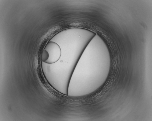 X0000115270734200911131807