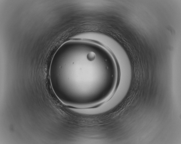 X0000115270737200911131807