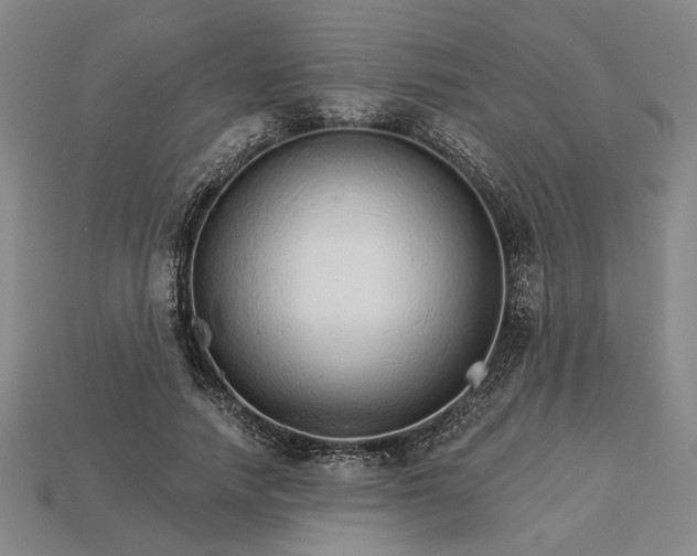 X0000115270738200911131807