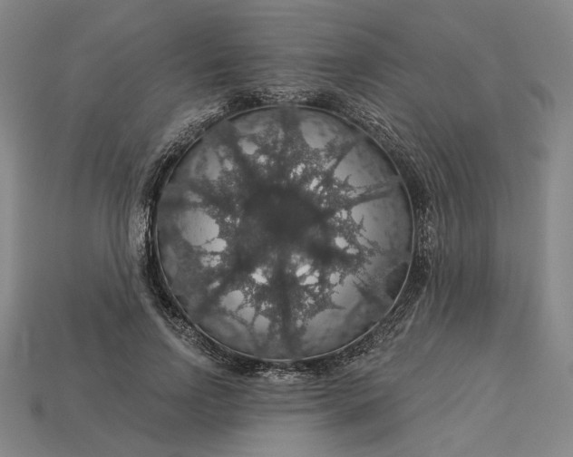 X0000115270742200911131807